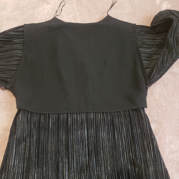 Zara Metallic Dress - Picture 8 of 10